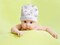 Craft Express 4 Pack Fleece Sublimation Baby Hats – Soft White Beanie Blanks